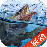 张淼怡状态